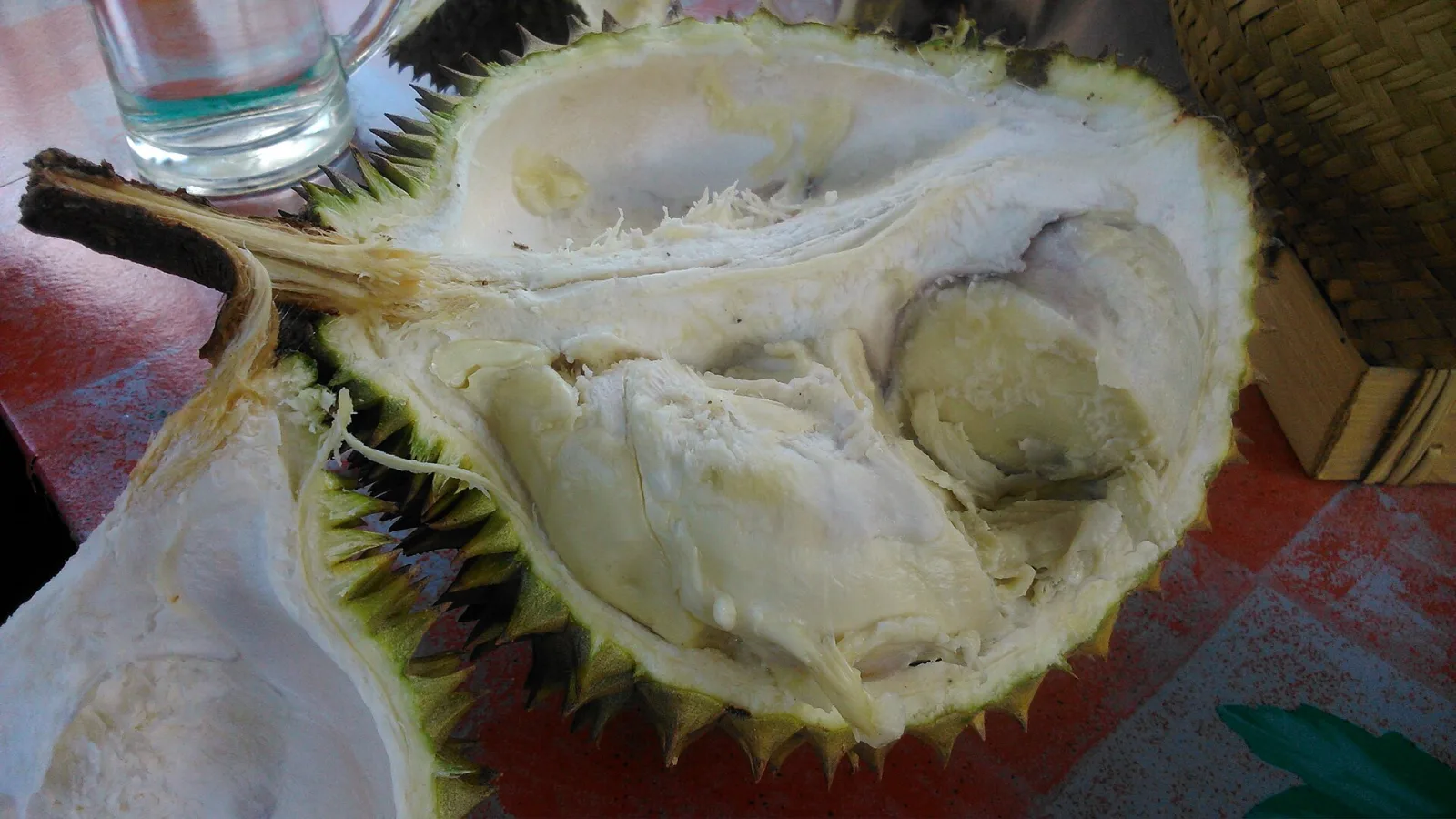 An opened durian showing the pale yellow flesh